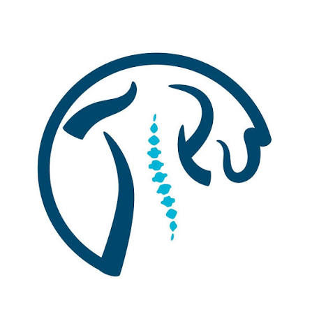 Chiropractic client